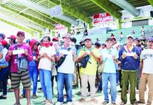 Typhoon-hit rice and corn farmers in Passi City display their indemnity checks after receiving crop insurance payouts from the Philippine Crop Insurance Corporation, part of more than ₱11.6 million released to help farmers recover from weather-related losses.