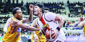 San Miguel Beermen's June Mar Fajardo protects the ball from NLEX Road Warriors' Sidney Onwubere. PBA PHOTO