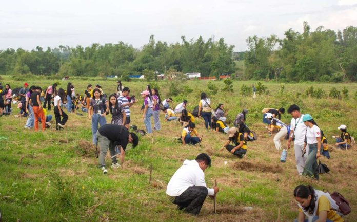 tree-planting-bcc Photo courtesy of The City Smile