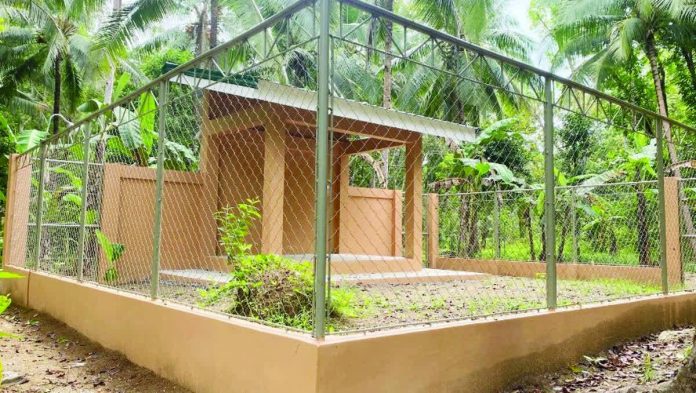 Antique_wildlife_center_copy_resized_compressed The newly completed Phase 1 facility of the Antique Wildlife Rescue and Rehabilitation Center in Barangay Igbucagay, Hamtic, which will serve as a rescue, treatment, and rehabilitation site for injured and confiscated wildlife across the province. PROVINCE OF ANTIQUE PHOTO