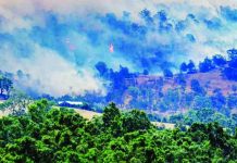 One person dead, 300 buildings destroyed in Australia bushfires Smoke rises from a burning forest on a hillside behind a home near Longwood as bushfires continue to burn under severe fire weather conditions in Victoria, Australia. REUTERS