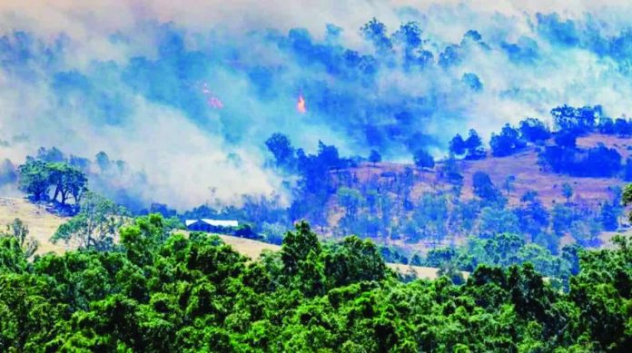 Smoke rises from a burning forest on a hillside behind a home near Longwood as bushfires continue to burn under severe fire weather conditions in Victoria, Australia. REUTERS