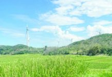DOE underscores RE, bids for more clean energy in 2026 Renewable energy got further boost in 2025 as the Department of Energy conducted two green energy auctions to bolster clean energy capacity in the country. Photo shows windmills in Burgos, Ilocos Norte. PNA FILE PHOTO BY LEILANIE ADRIANO