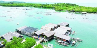 Aerial view of the Palina Greenbelt Ecopark, a key component of Roxas City’s Palina River Cruise, which won the ASEAN Sustainable Tourism Award (Urban Category). ROXAS CITY GOV’T PHOTO