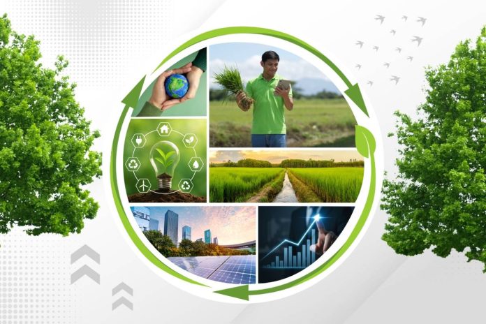 Sustainability Bonds