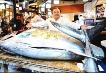 Bluefin tuna fetches record $3.2M at Tokyo auction A man spreads his arms over a giant tuna laying on a table at Tokyo, Japan’s Toyosu fish market. GETTY IMAGES