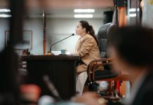 Iloilo remains open to AI, tech investments — Debuque Photo courtesy of Lee Ann Debuque