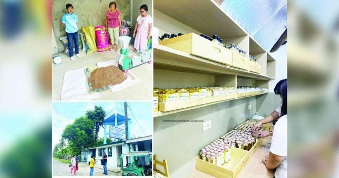 dole-livelihood Western Visayas beneficiaries of the Department of Labor and Employment’s Integrated Livelihood Program work on community-based projects — from food processing and retail to cooperative enterprises — showcasing how government livelihood aid is translated into actual income-generating activities across the region. DOLE-6 PHOTO