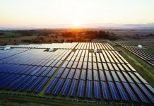 GREEN POWER PUSH: Iloilo capitol rolls out P2-M solar projects in Banate, Anilao to boost climate-resilient dev’t This solar farm of Vena Energy in Ilocos Norte is among the 232 strategic projects worth around P6.11 trillion approved by the Board of Investments under the Green Lane Initiative in 2025. PHOTO GRABBED FROM VENA ENERGY WEBSITE