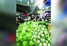 Prices of highland vegetables going down — DA exec Prevailing price of broccoli now stands at P180 per kilo from P200 a week ago, according to the Department of Agriculture.