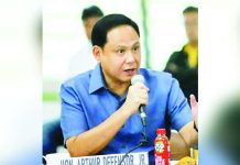 P183-M tourism push for Iloilo LGUs rolled out DEFENSOR