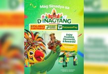 Catch the Palawan Group of Companies’ Float at the Dinagyang Ilomination Parade, bringing color and Ilonggo pride to the festivity!