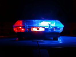PRO-6 nets P738K in illegal drugs; 10 suspects nabbed Photo courtesy of Scott Rodgerson/Unsplash