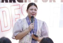 Permit renewal extended to Jan. 31 as work suspensions, festival prep squeeze businesses Photo courtesy of Raisa Treñas