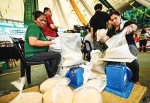 Prices of rice are expected to remain stable within the first quarter of 2026. The Department of Agriculture says the tariff rate for the imported grain stayed at 15%. MARIA TAN, ABS-CBN NEWS PHOTO