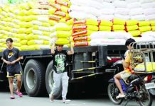 P250 wage hike petition eyed ahead of Labor Day Workers unload sacks of imported rice for retailers in Tondo, Manila on Nov. 7, 2025. The Department of Agriculture on Jan. 8, 2026 assured there will be no upward trend in the retail prices of imported and local rice amid the lean months in the country. PNA PHOTO BY YANCY LIM