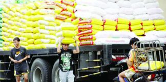 Workers unload sacks of imported rice for retailers in Tondo, Manila on Nov. 7, 2025. The Department of Agriculture on Jan. 8, 2026 assured there will be no upward trend in the retail prices of imported and local rice amid the lean months in the country. PNA PHOTO BY YANCY LIM