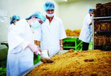 The Department of Agriculture shares plans to export 100,000 metric tons of local sugar to the United States market to provide the industry immediate relief. Photo shows the Raw Brown Sugar Milling Company in Igbalanac Malalangsi, Pamplona, Negros Oriental that produces muscovado sugar. DA PHOTO BY ALAN JAY JACALAN
