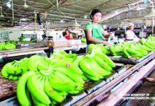 PH trade deficit narrows in December as exports post double-digit growth The Philippine Statistics Authority says the second biggest growth in Philippine export in December 2025 was seen in fresh bananas. It climbed by $112.23 million to $227.76 million. PHOTO COURTESY OF PHILIPPINE NEWS AGENCY