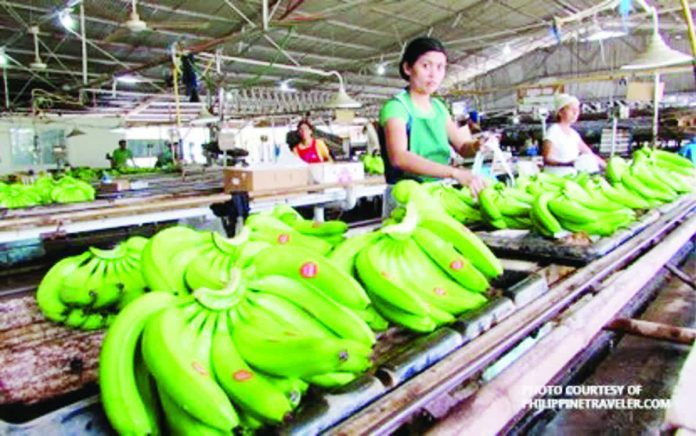 trade_deficit_copy_resized_compressed The Philippine Statistics Authority says the second biggest growth in Philippine export in December 2025 was seen in fresh bananas. It climbed by $112.23 million to $227.76 million. PHOTO COURTESY OF PHILIPPINE NEWS AGENCY