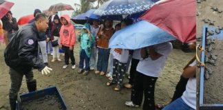 Residents of Numancia, Aklan gathered at Barangay Camanci Norte to witness the early morning release of 73 Olive ridley hatchlings into the sea on February 6. The activity, led by the LGU Numancia and DENR-PENRO Aklan, underscores ongoing efforts to protect marine wildlife and maintain ecological balance in the province. DENR-PENRO AKLAN