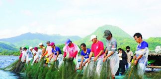 Fisherfolk, farmers, and local workers known as “boso” worked together during PaFFA’s lambaklad fishing operation in Libertad, Antique, which generated P303,624 in gross sales in January. BFAR-SAAD WV