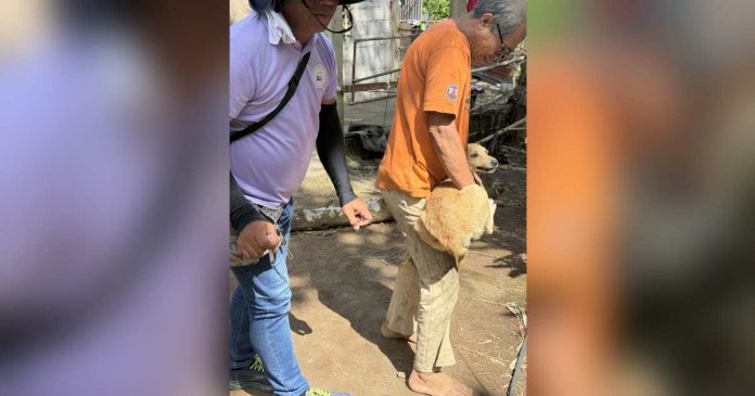 Personnel from the Bacolod City Veterinary Office (CVO) conducted house-to-house anti-rabies vaccinations in Barangay Granada on February 18, kicking off the city government’s intensified campaign. The activity will continue in the barangay until February 26 before expanding to other areas. BCCO-PIO PHOTO