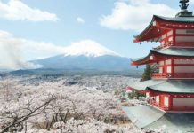 Cherry blossom flowers surround a pagoda in Arakurayama Sengen park in Fujiyoshida, Japan. Mount Fuji can be seen in the background. GETTY IMAGES