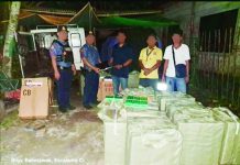 PRO-NIR seizes over P700K worth of illicit cigarettes Confiscated master cases of alleged illicit cigarettes worth P787,500 were displayed following a police operation in Barangay Balintawak, Escalante City, Negros Occidental on February 16. The items were seized by the Police Regional Office – Negros Island Region during a routine patrol. PRO-NIR PHOTO