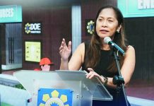 Philippines eyes P25-trillion renewable energy investments The Department of Energy led by Secretary Sharon Garin reiterated that the country could still achieve its target of expanding the share of renewables in the electricity generation mix to 35 percent by 2030. DOE PHOTO