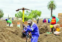 Gold fever hits South Africa after find in cattle pen A man holds a pickaxe aloft in an area used recently as a cattle enclosure in South Africa. Other people can be seen digging for gold behind him. EPA/SHUTTERSTOCK