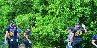Police secured the area in Barangay Sooc, Arevalo, Iloilo City where the lifeless body of Aurello Lastimoso Diaz was discovered on Feb. 19, as authorities pursued an investigation into the incident. AJ PALCULLO/PN