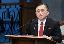 Protect Filipinos, comply with Constitution first before any citizen is sent to foreign jurisdiction — Bong Go