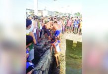 5-year-old boy drowns at Lapuz Wharf Coast Guard personnel and local residents recovered the body of a five-year-old boy who drowned at Lapuz Wharf in Barangay Lapuz Norte, Lapuz, Iloilo City, on Feb. 16, 2026. The victim was rushed to the hospital but was declared dead on arrival. PCG-ILOILO STATION PHOTO