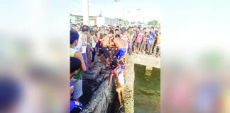 Coast Guard personnel and local residents recovered the body of a five-year-old boy who drowned at Lapuz Wharf in Barangay Lapuz Norte, Lapuz, Iloilo City, on Feb. 16, 2026. The victim was rushed to the hospital but was declared dead on arrival. PCG-ILOILO STATION PHOTO