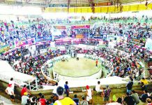 The annual Candelaria cock derby at the Iloilo Coliseum in Jaro, Iloilo City is a fiesta fixture. It draws cockfighting enthusiasts even from abroad. AJ PALCULLO/PN