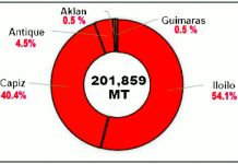 Western Visayas’ corn output up by 11.9 percent in 2025 This figure shows the percentage distribution of corn production in Western Visayas by province in 2025. Iloilo was the top contributor, accounting for more than half, or 54.1 percent (109,166 metric tons), of the total production of 201,859 metric tons. PSA REGION 6 PHOTO