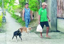 Animal bite cases overwhelm Iloilo vaccine supply; Nearly 70,000 incidents logged in 2025 The Iloilo Provincial Health Office urged pet owners anew to vaccinate their dogs and cats, keep animals leashed or caged, and avoid letting them roam as strays. A total of 33,809 dog bites were recorded in the province in 2025. AJ PALCULLO/PN