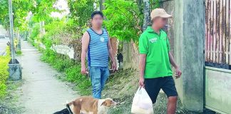 The Iloilo Provincial Health Office urged pet owners anew to vaccinate their dogs and cats, keep animals leashed or caged, and avoid letting them roam as strays. A total of 33,809 dog bites were recorded in the province in 2025. AJ PALCULLO/PN