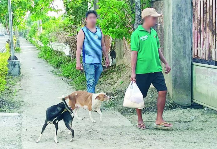 The Iloilo Provincial Health Office urged pet owners anew to vaccinate their dogs and cats, keep animals leashed or caged, and avoid letting them roam as strays. A total of 33,809 dog bites were recorded in the province in 2025. AJ PALCULLO/PN