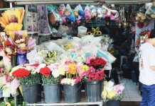 VALENTINE’S WINDFALL FADES; Iloilo flower vendors battle online competition, soaring capital as Feb. 14 sales no longer guarantee profit Flower vendor Mary Grace Gabrido assists customers picking out flowers for Valentine's Day at her shop on Iznart Street in Iloilo City. She says the business that once comfortably sustained her family now faces a tougher landscape, pointing to the surge of online sellers that have reshaped the floral trade. NELJOY GALIGAO/PN