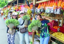 Fruit-led export narrowed PH’s farm trade gap —DA Pineapple is among the 12 high-value crops identified by the Department of Agriculture to push for in the global markets. AJ PALCULLO/PN
