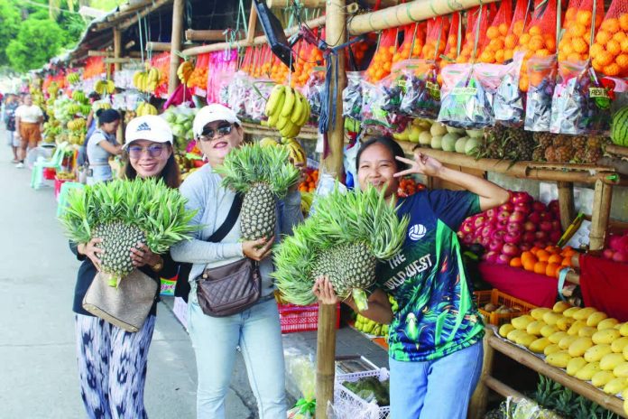 fruit-led_export_copy_resized_compressed Pineapple is among the 12 high-value crops identified by the Department of Agriculture to push for in the global markets. AJ PALCULLO/PN
