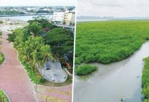 ILOILO CITY: GLOBAL MODEL FOR RESTORING ECOSYSTEMS BUILDING A GREENER FUTURE. The Iloilo River Esplanade and the city’s restored mangrove ecosystems reflect Iloilo City’s strong commitment to environmental protection, climate resilience, and people-centered urban development. These nature-based initiatives helped earn Iloilo City recognition as a Generation Restoration Role Model City under the United Nations Decade on Ecosystem Restoration — a proof that thoughtful planning and nature-based solutions can renew both places and people. PHOTO GRABBED FROM JERRY P. TREÑAS FACEBOOK PAGE