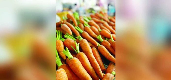 This figure (left) shows the average retail price per kilogram of carrot in Guimaras in the first and second phases of December 2024 and November 2025, respectively, and first phase of December 2025. PHOTOS COURTESY OF PSA / FACEBOOK