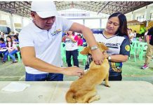 Iloilo-wide dog vaccination drive seen to curb rabies cases, targets 70% coverage Iloilo Provincial Veterinarian Dr. Darel Tabuada administers an anti-rabies vaccine to a dog during the kickoff of the province-wide dog vaccination campaign at the San Rafael municipal gymnasium in San Rafael, Iloilo on February 3, 2026. The campaign, led by the Provincial Veterinary Office, aims to boost rabies prevention and increase vaccination coverage across the province. PHOTO FROM OFFICE OF THE PROVINCIAL VETERINARIAN-ILOILO