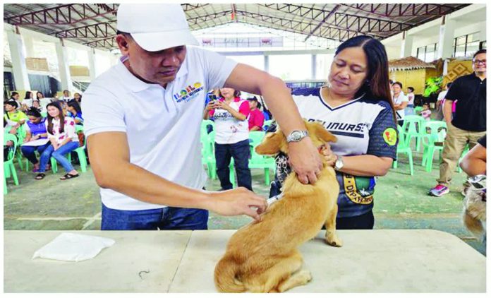 ime_vaccine_copy_resized_compressed Iloilo Provincial Veterinarian Dr. Darel Tabuada administers an anti-rabies vaccine to a dog during the kickoff of the province-wide dog vaccination campaign at the San Rafael municipal gymnasium in San Rafael, Iloilo on February 3, 2026. The campaign, led by the Provincial Veterinary Office, aims to boost rabies prevention and increase vaccination coverage across the province. PHOTO FROM OFFICE OF THE PROVINCIAL VETERINARIAN-ILOILO