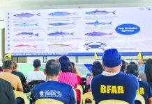 The Bureau of Fisheries and Aquatic Resources conducts an orientation for commercial fishing operators in Carles, Iloilo following the lifting of the Visayan Sea closed season, emphasizing strict compliance with mesh size rules, vessel registration, and monitoring requirements to ensure sustainable fishing practices. The goal is to protect and conserve the Visayan Sea’s rich resources. BFAR-6 PHOTO
