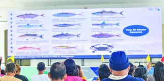 The Bureau of Fisheries and Aquatic Resources conducts an orientation for commercial fishing operators in Carles, Iloilo following the lifting of the Visayan Sea closed season, emphasizing strict compliance with mesh size rules, vessel registration, and monitoring requirements to ensure sustainable fishing practices. The goal is to protect and conserve the Visayan Sea’s rich resources. BFAR-6 PHOTO