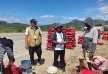 DA intensifies monitoring of onion farmgate prices Onion farmers in Occidental Mindoro in an undated photo. The Department of Agriculture on Monday, Feb. 26, 2026, said it has intensified its monitoring to ensure reasonable farmgate prices of onions. PHOTO COURTESY OF DA